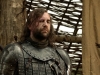 Rory McCann (Sandor Clegane)