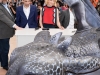 Cannes 2014: Dragon Trainer 2 photocall