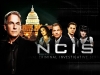 2. ncis