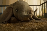 dumbo-live-action-disney-01