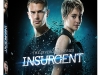 insurgent