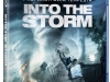 Into the Storm