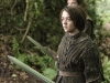 arya 