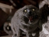 Pet Sematary