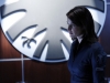 agents-of-shield-cobie-smulders